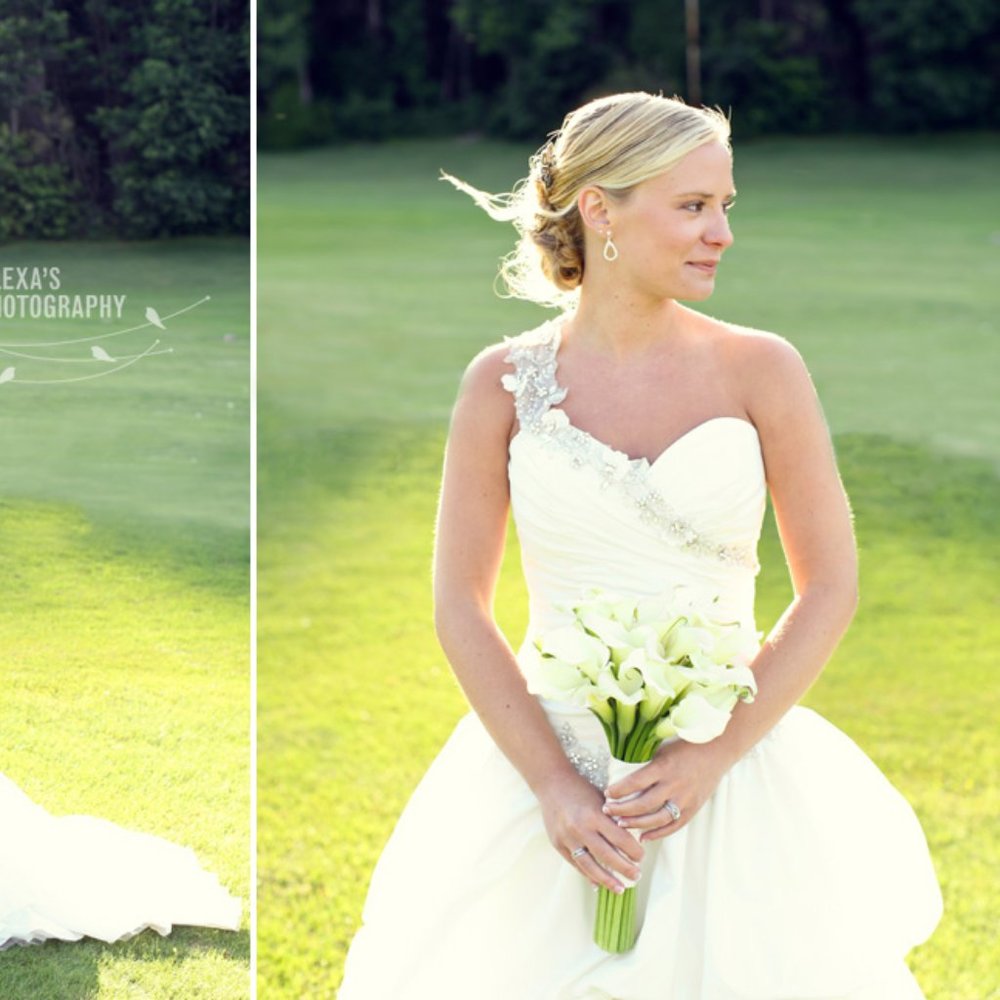 Alfred Angelo Disney Wedding Gown "Tiana" - Picture 4 of 6